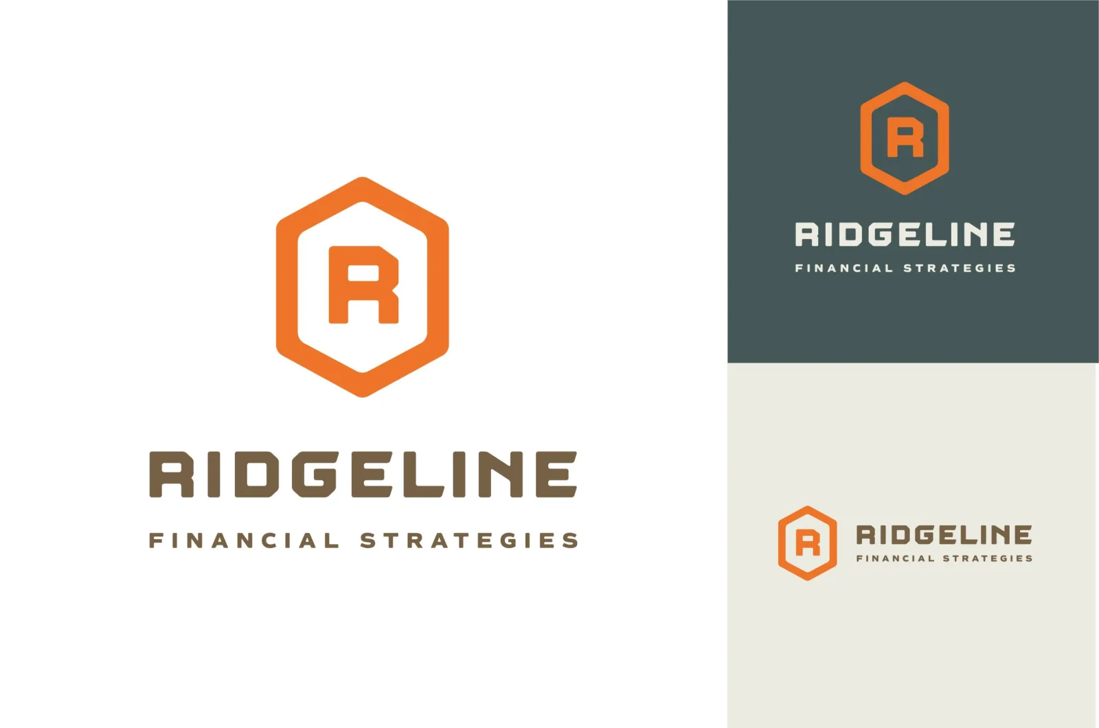 Ridgeline Financial Strategies Logo & Branding